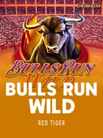 Bulls Run Wild icon